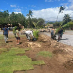 Wetland area is being grassed over at the VFW.