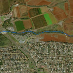 Waiakoa Gulch Stream Kihei. Courtesy of SouthMauiWetlands