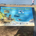 Protect Maui's Coral Reefs sign posted at Kalama Park