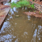 Welakahao Kai Wetland